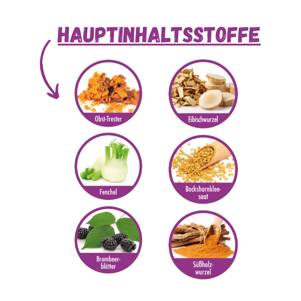 Dog Shitstop bei Durchfall (8 Tabletten)